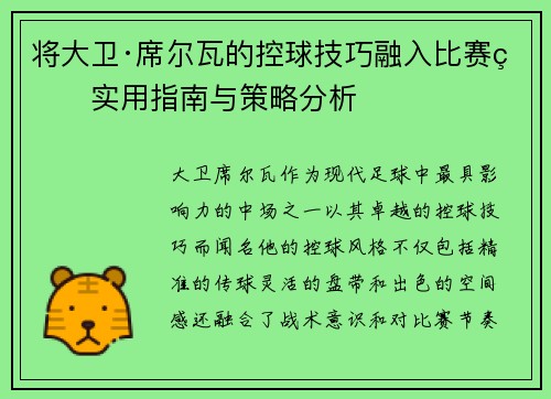 将大卫·席尔瓦的控球技巧融入比赛的实用指南与策略分析