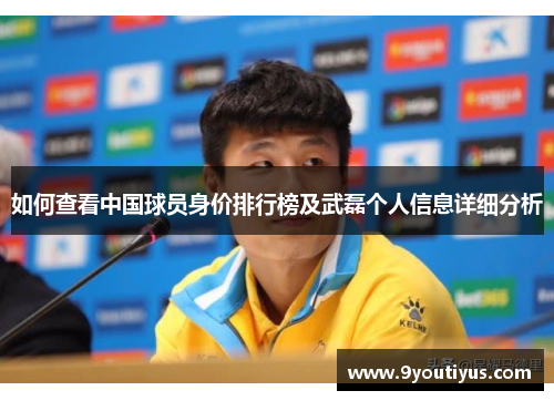 如何查看中国球员身价排行榜及武磊个人信息详细分析