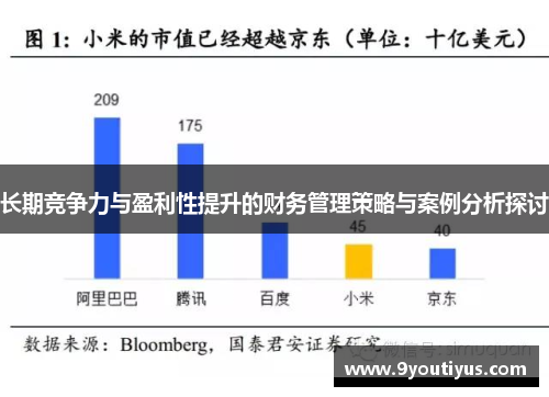 长期竞争力与盈利性提升的财务管理策略与案例分析探讨