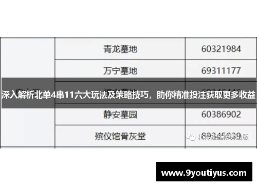 深入解析北单4串11六大玩法及策略技巧，助你精准投注获取更多收益