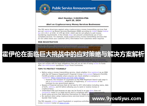 霍伊伦在面临巨大挑战中的应对策略与解决方案解析